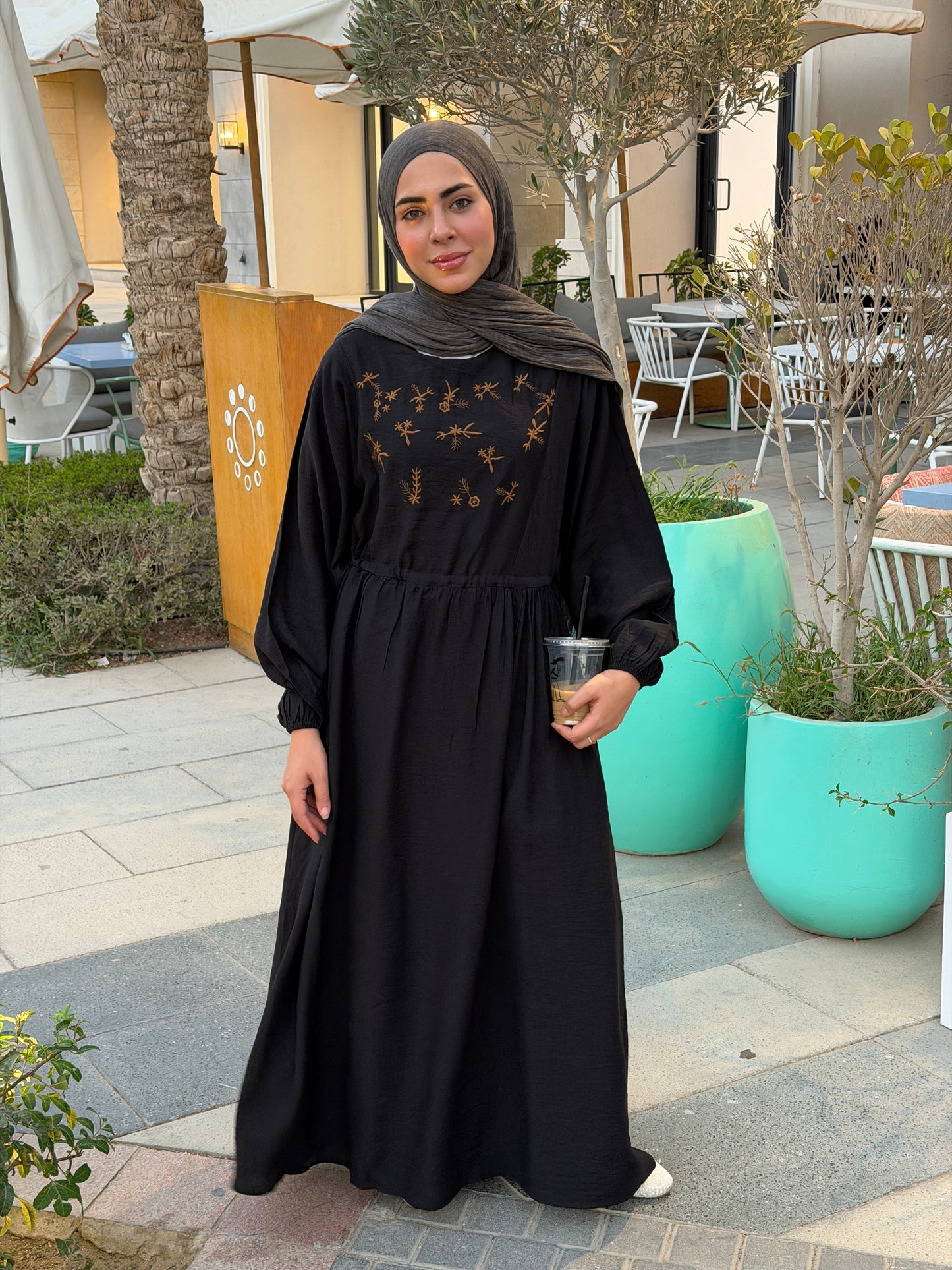 Elena Black Embroidered Dress