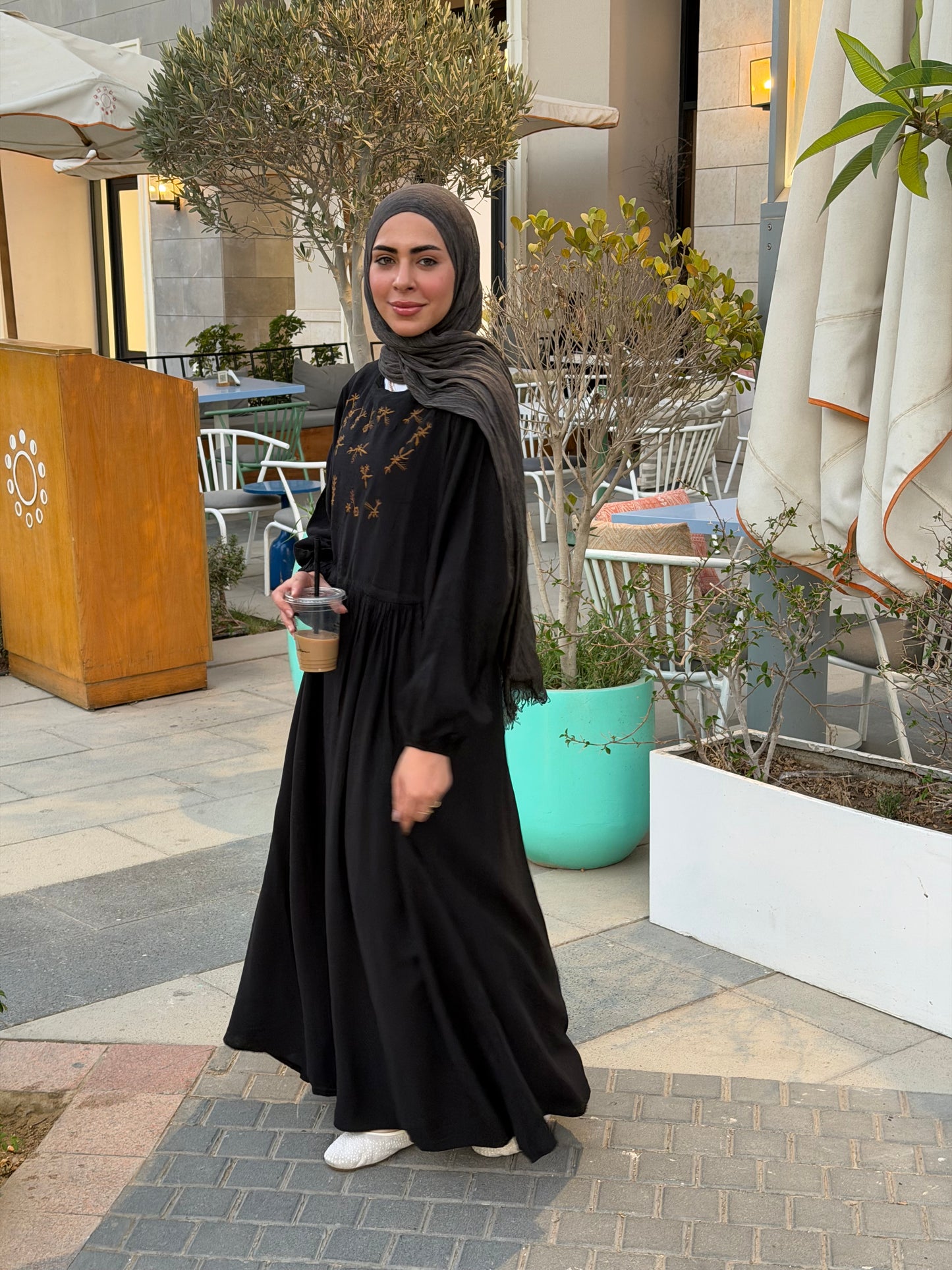 Elena Black Embroidered  Dress