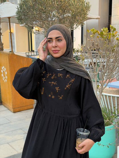 Elena Black Embroidered  Dress