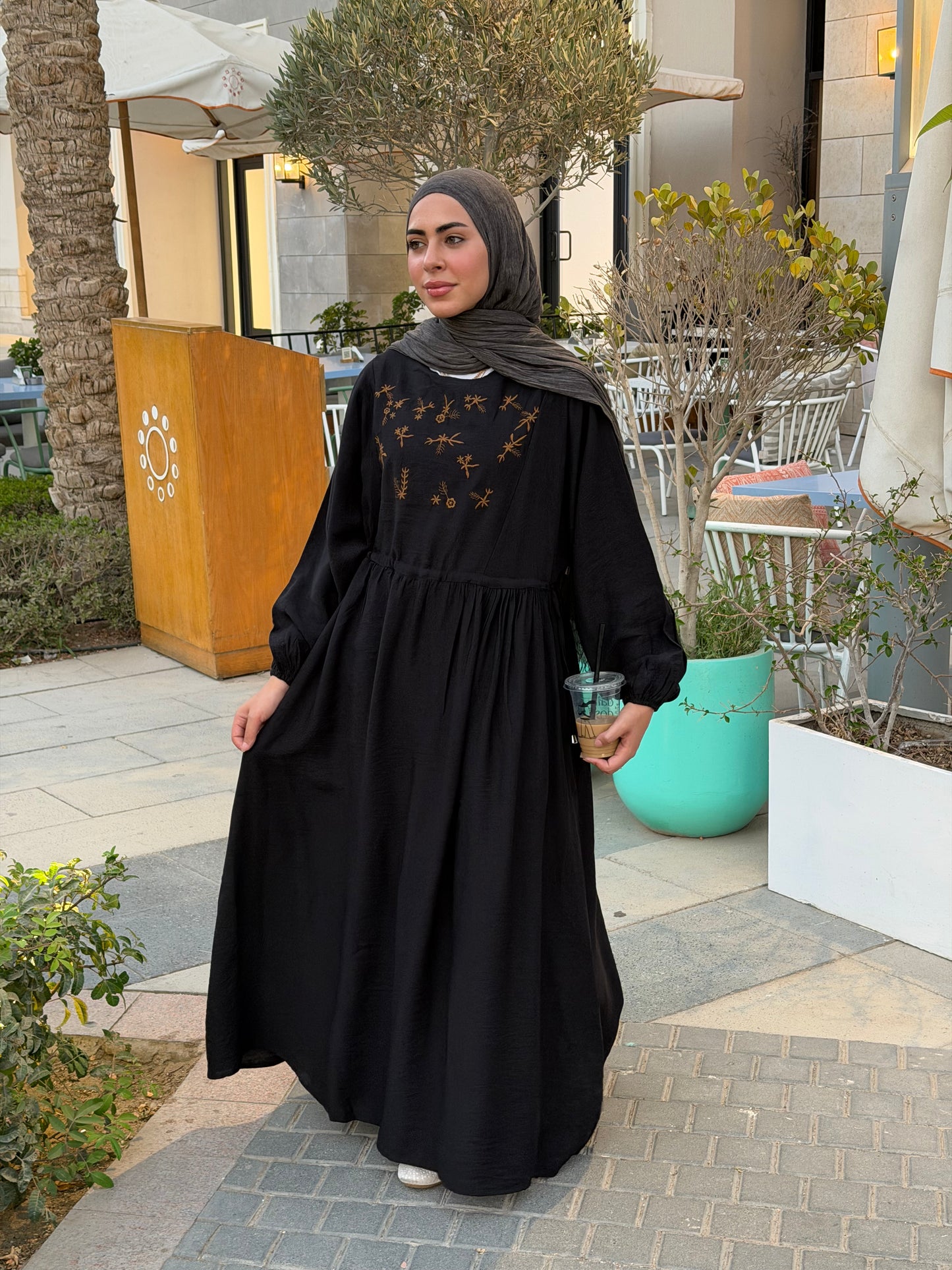 Elena Black Embroidered  Dress