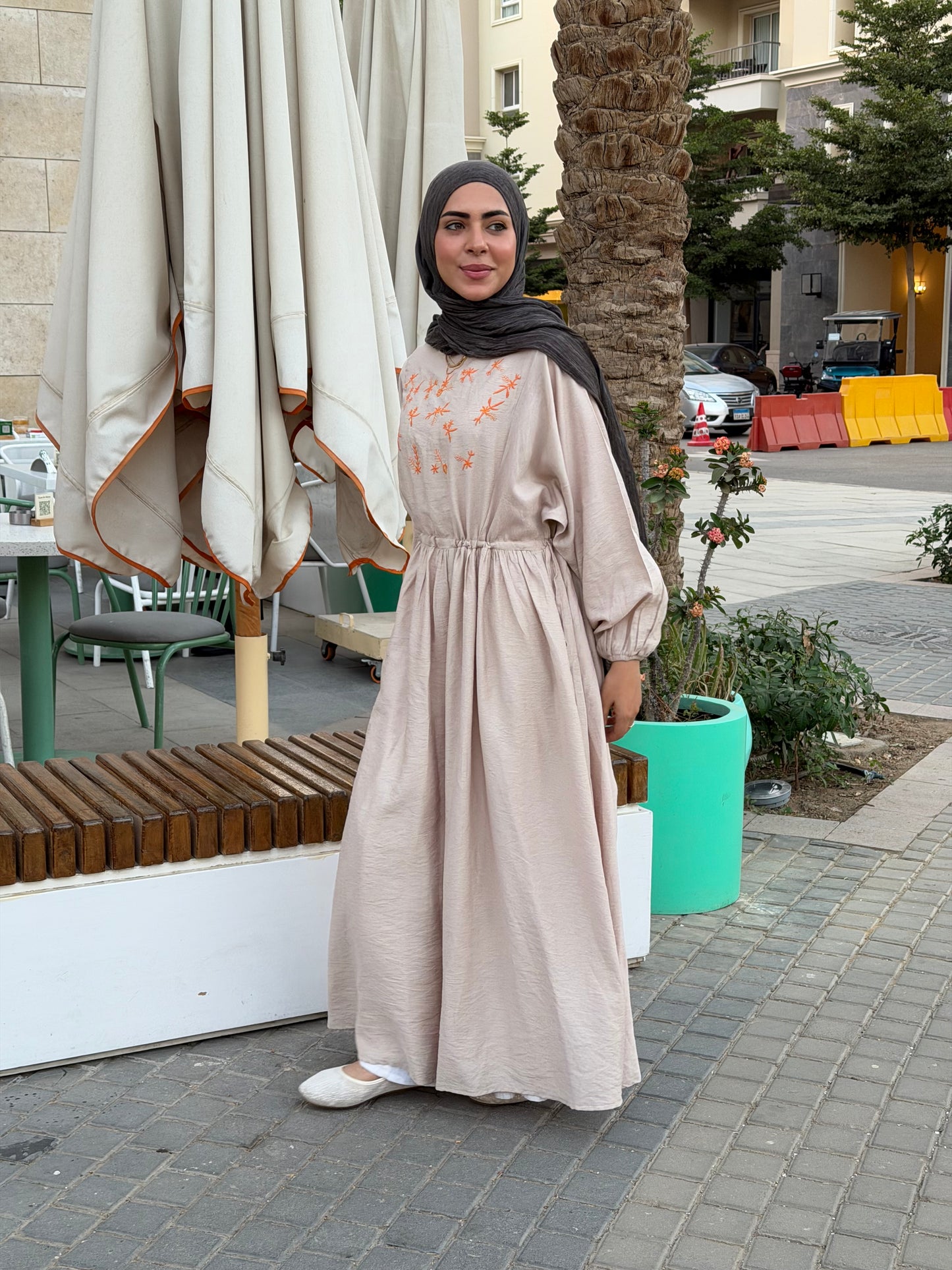 Elena Beige Embroidered  Dress