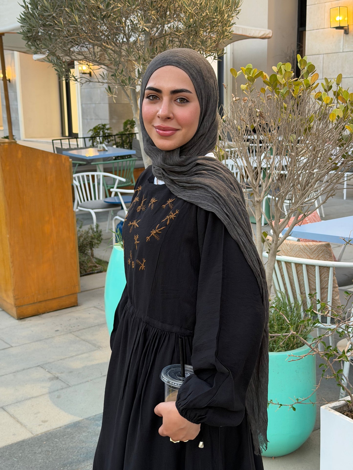 Elena Black Embroidered  Dress