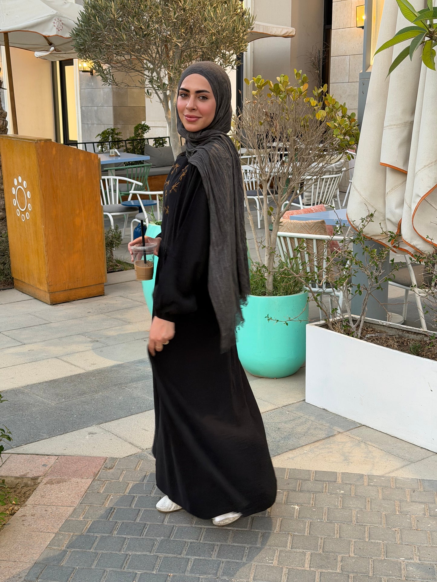 Elena Black Embroidered  Dress
