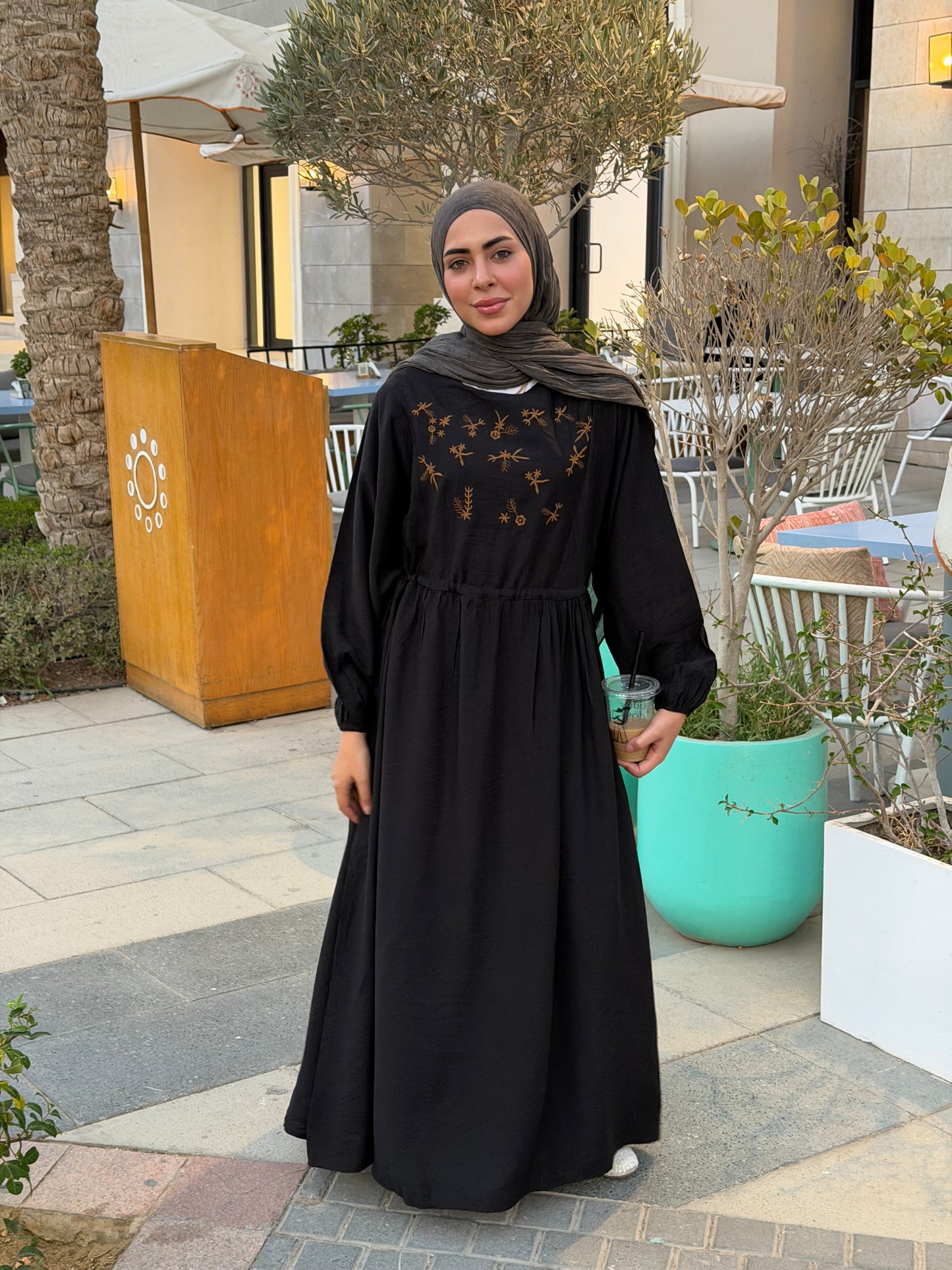 Elena Black Embroidered  Dress